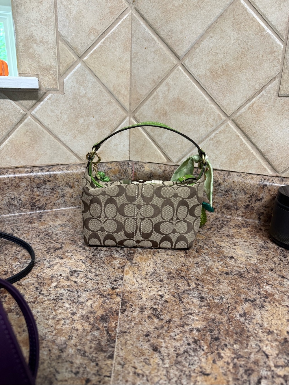 Coach Mini Bag in Green and Khaki Signature Canvas with Zebra Stripe - Picture 2 of 3